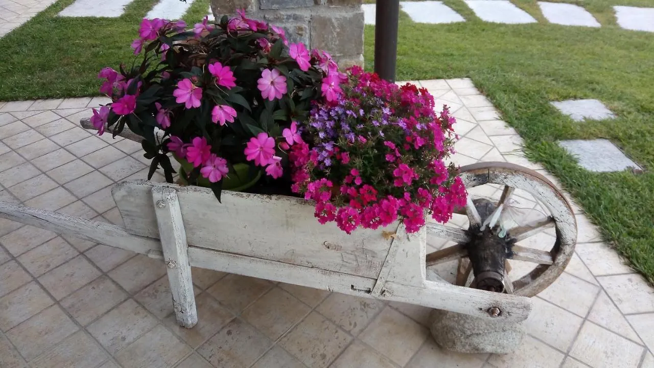 Bed & Breakfast Bed and Breakfast La Cicala Stonata Dolceacqua